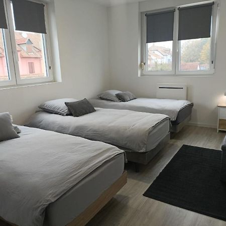 Appartement Entier F3 Renove - Petite Pause A Selestat Sélestat Exterior foto