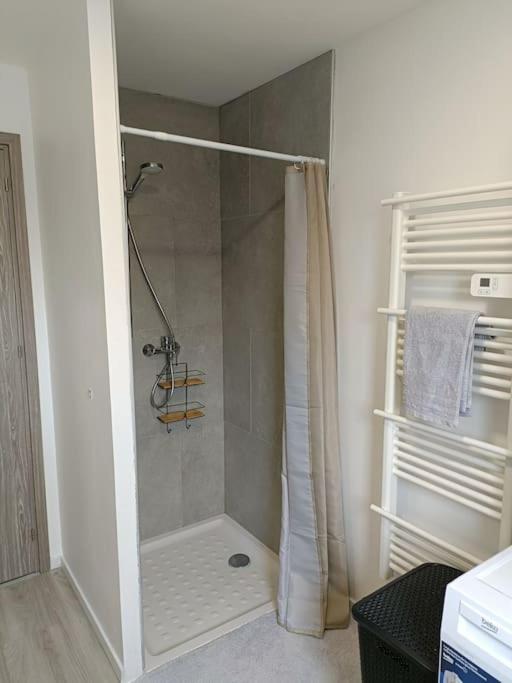 Appartement Entier F3 Renove - Petite Pause A Selestat Sélestat Exterior foto