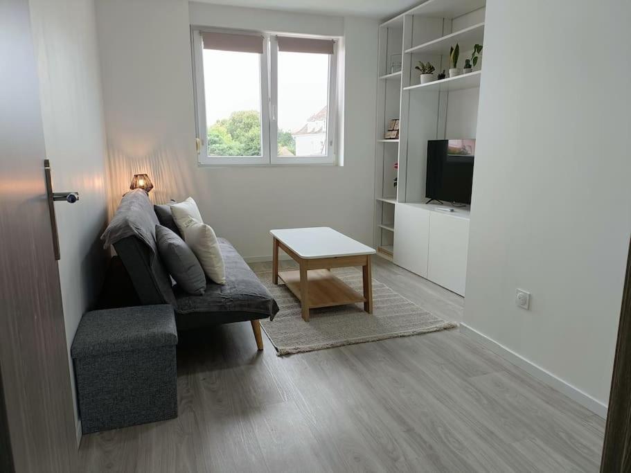 Appartement Entier F3 Renove - Petite Pause A Selestat Sélestat Exterior foto