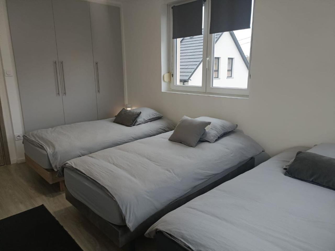 Appartement Entier F3 Renove - Petite Pause A Selestat Sélestat Exterior foto