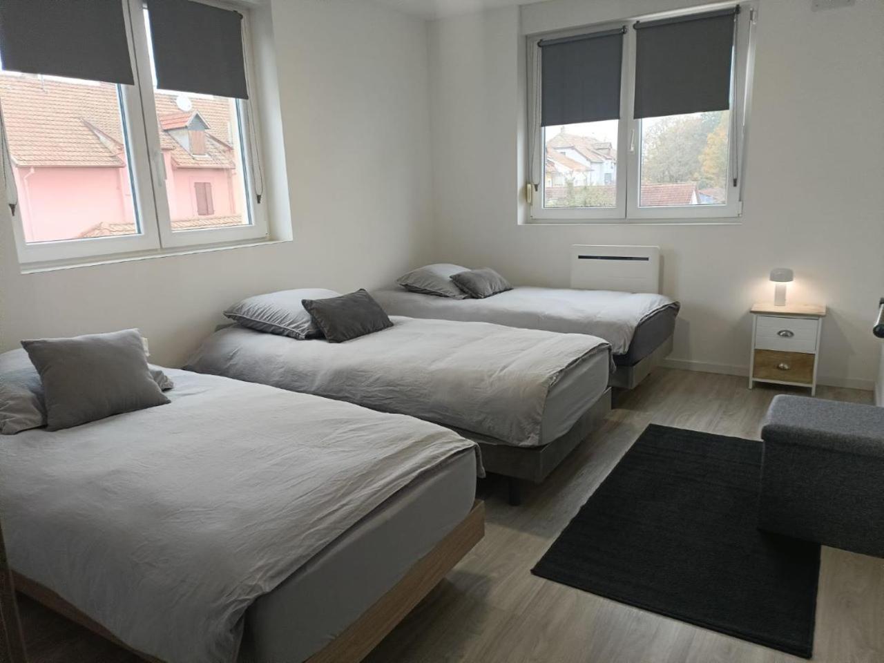 Appartement Entier F3 Renove - Petite Pause A Selestat Sélestat Exterior foto